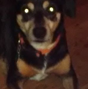 Meet your Posher, Stacy